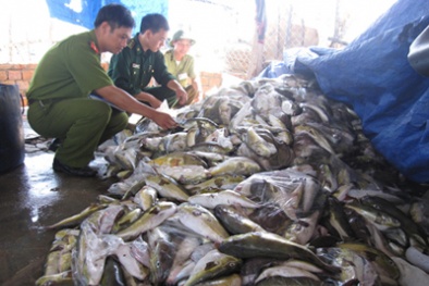  Động vật thối rữa 'hóa thân' thành đặc sản